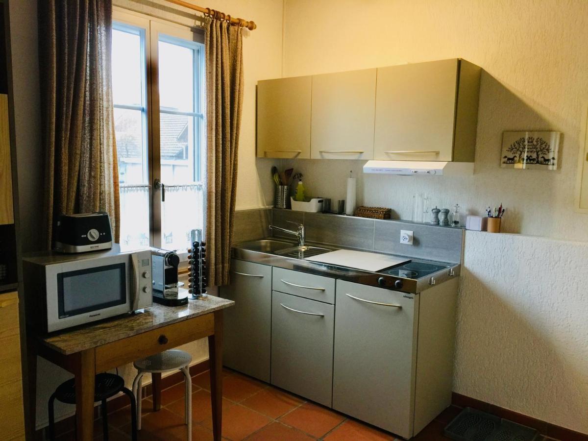 "Zur Alten Schmiede", 70M2 Studio Mit Kaminfeuer Und Sauna Fraubrunnen Exterior photo